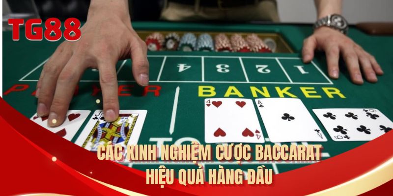 Các kinh nghiệm cược Baccarat hiệu quả hàng đầu